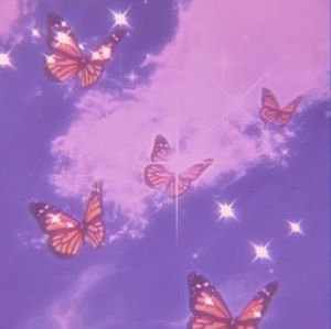 Meet your Posher, Sasha